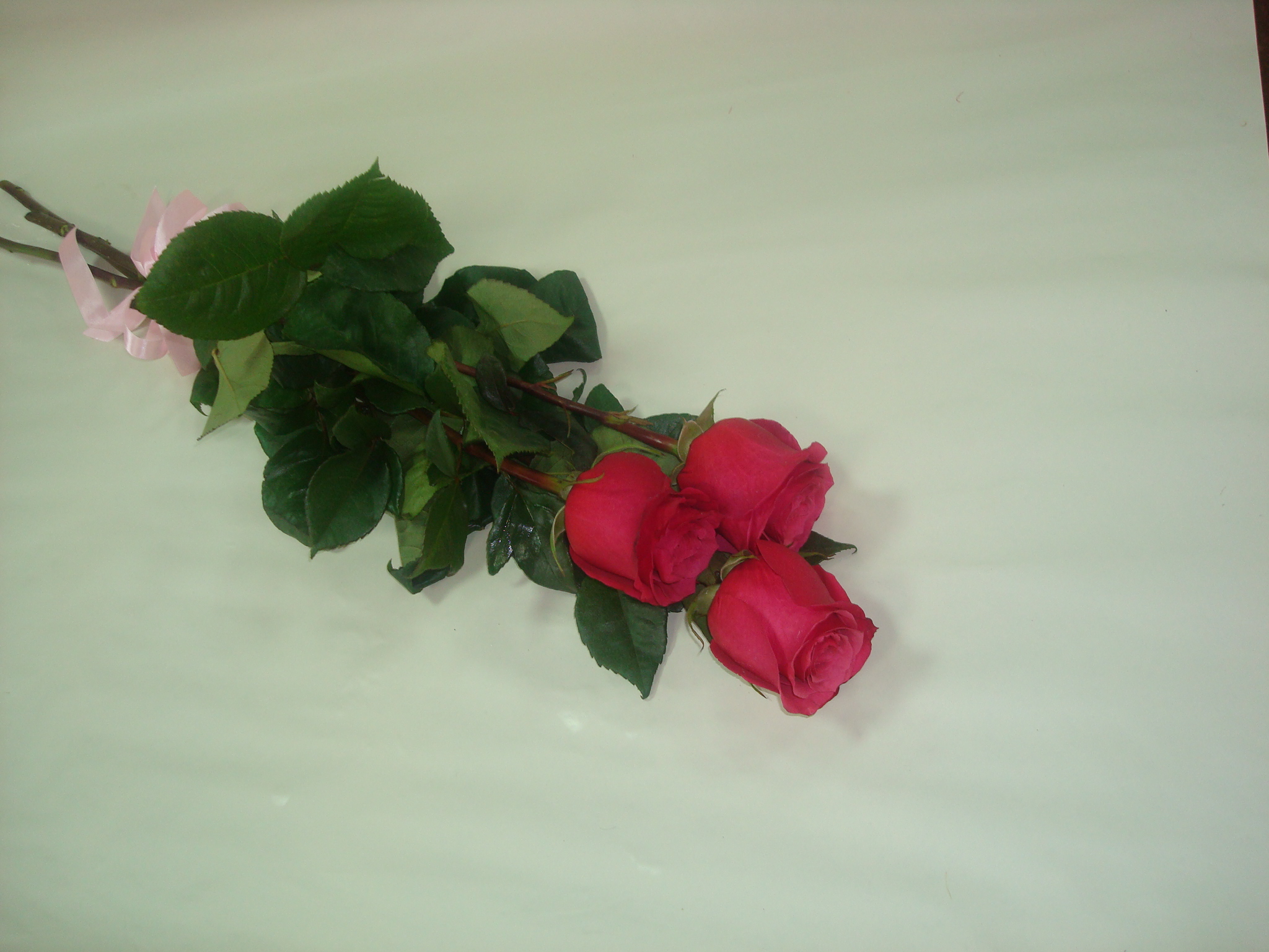 Цветы три розы